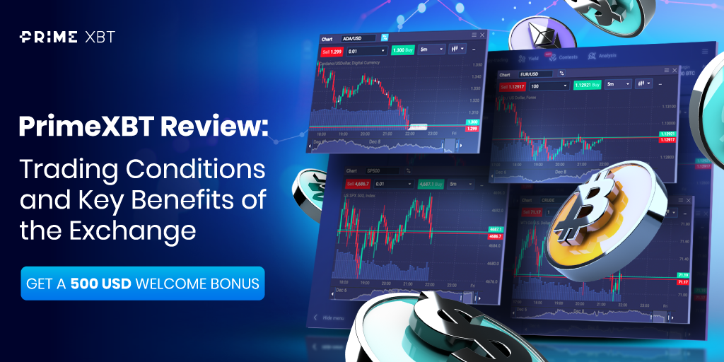 Everything You Need to Know About the PrimeXBT Website