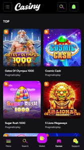 Exploring the Features and Benefits of Casiny App