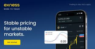 Your Guide to Exness Trading Account Explore Features and Benefits Your Guide to Exness Trading Account Explore Features and Benefits